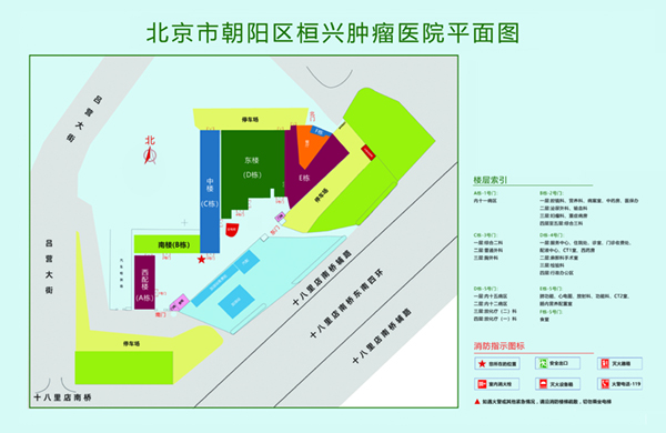 黄片视频,操逼黄北京市朝阳区桓兴肿瘤医院平面图